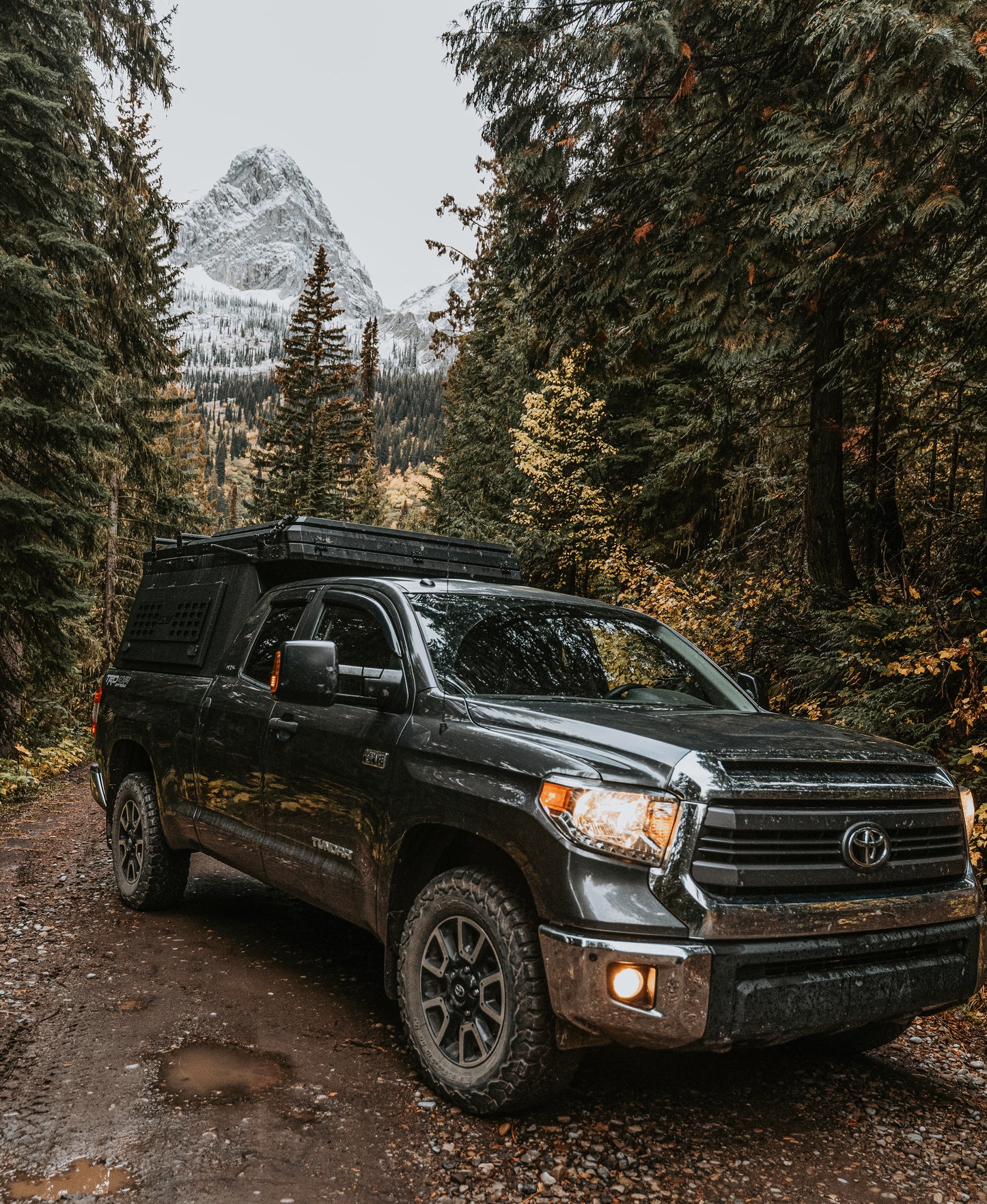 2022–2027 Toyota Tundra – 6.5FT DUAL WEDGE REG HEIGHT