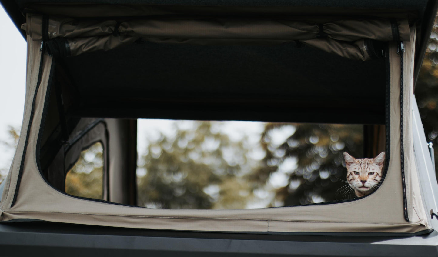 The Dual-Wedge for 2016-2023 Toyota Tacoma