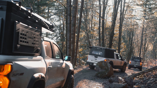 Roamify January Camping