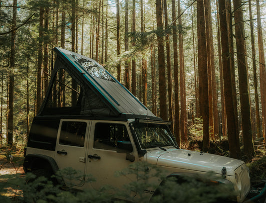 Jeep campers in forest