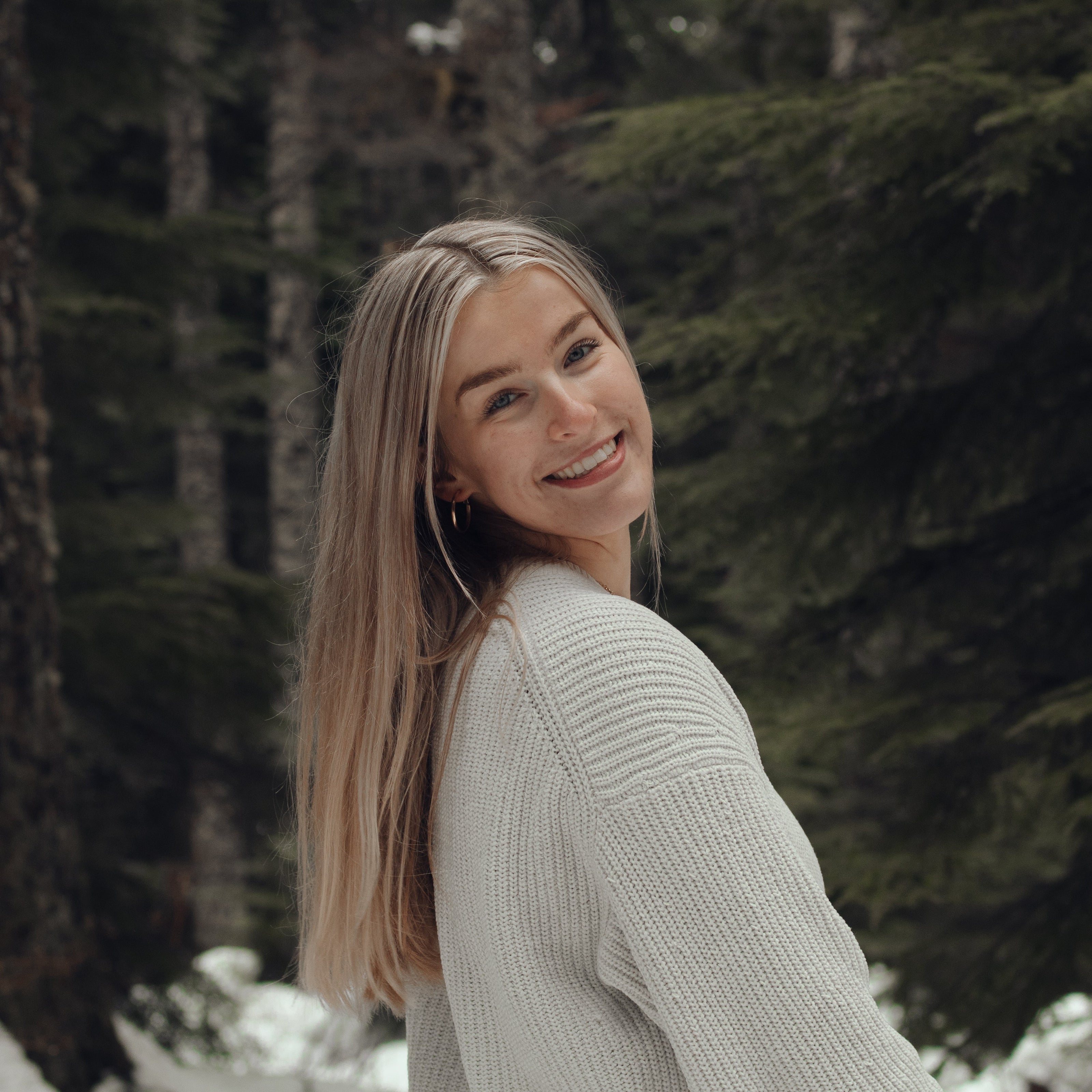 Roamify Marketing Coordinator