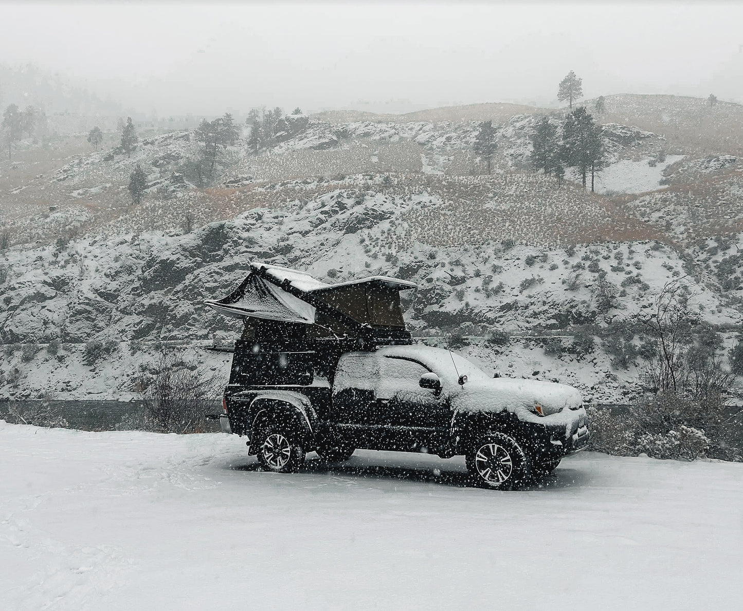 2024-Current Toyota Tacoma (6ft Box) Dual Wedge Reg Height