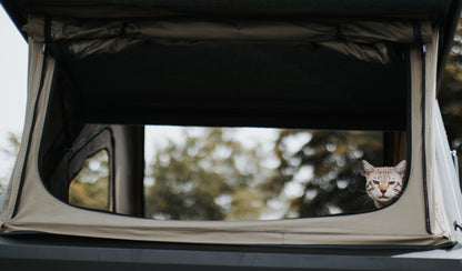 The Dual-Wedge for 2014-2021 Ford F-150